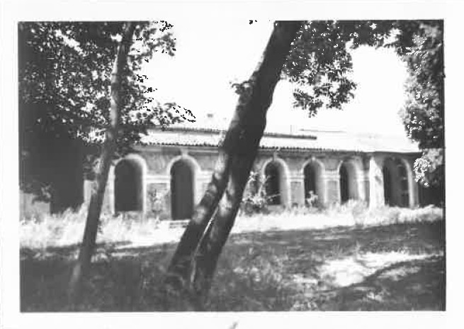 Photo ancienne Pôle