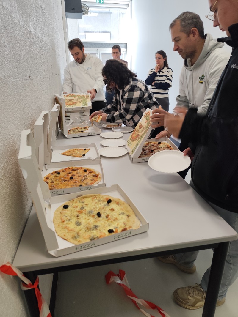 web jungle days 2026