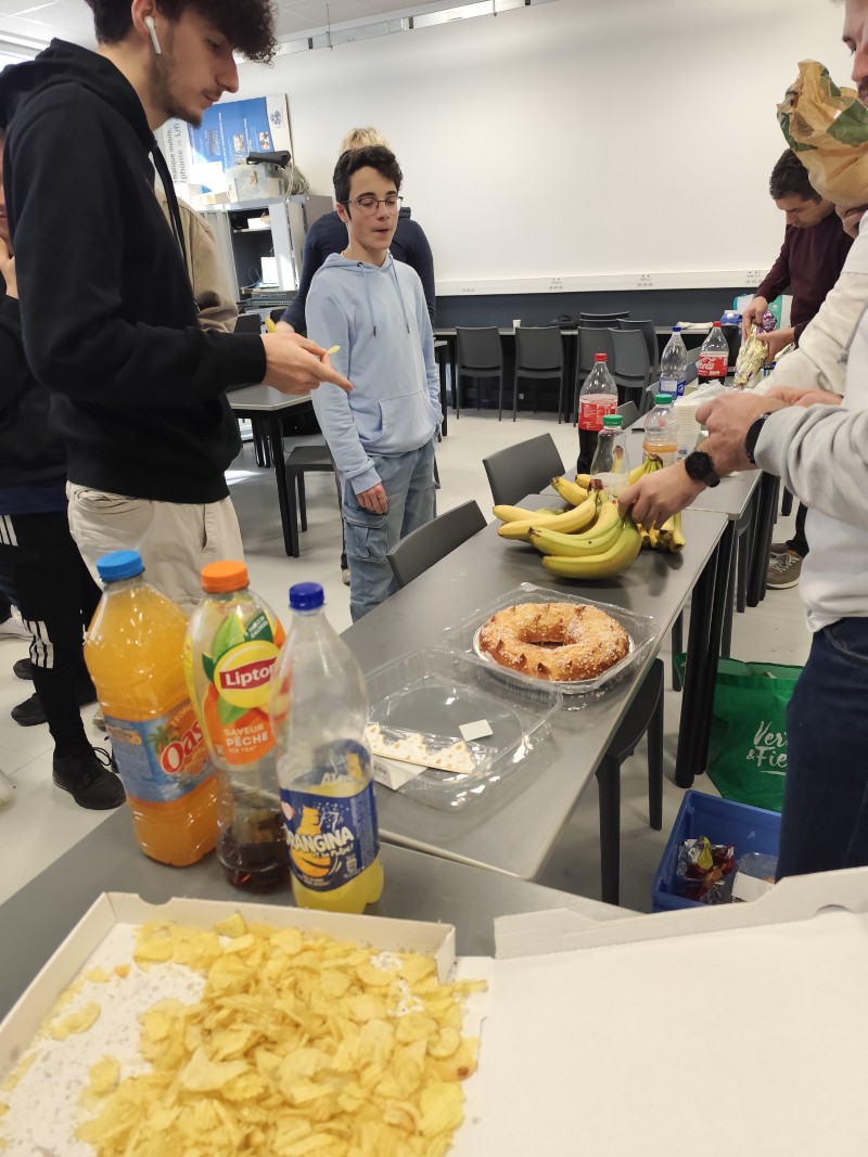 web jungle days 2026