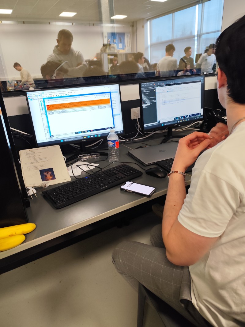 web jungle days 2026