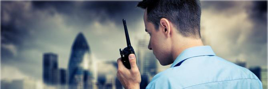 CAP Agent de Sécurité